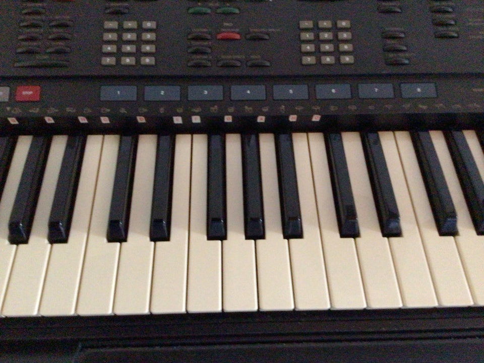 Keyboard, Yamaha Psr 4500