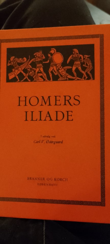 Homers Iliade, Homer, genre: digte