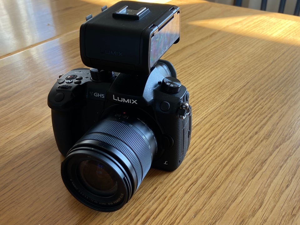 Panasonic Lumix GH5L 203