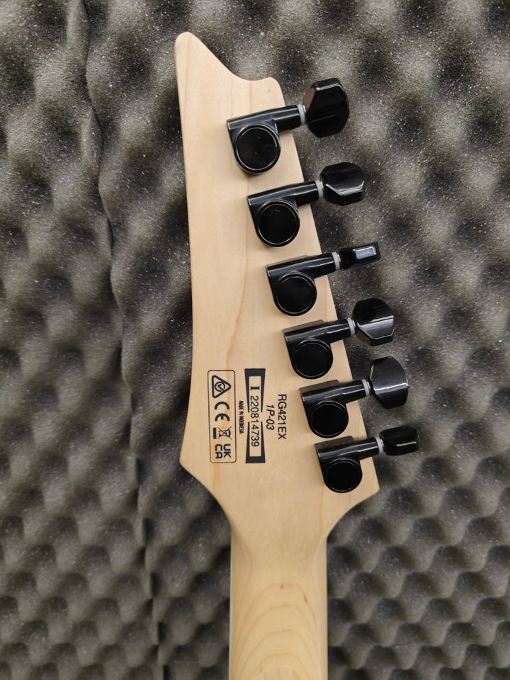 Elguitar, Ibanez RG421EX