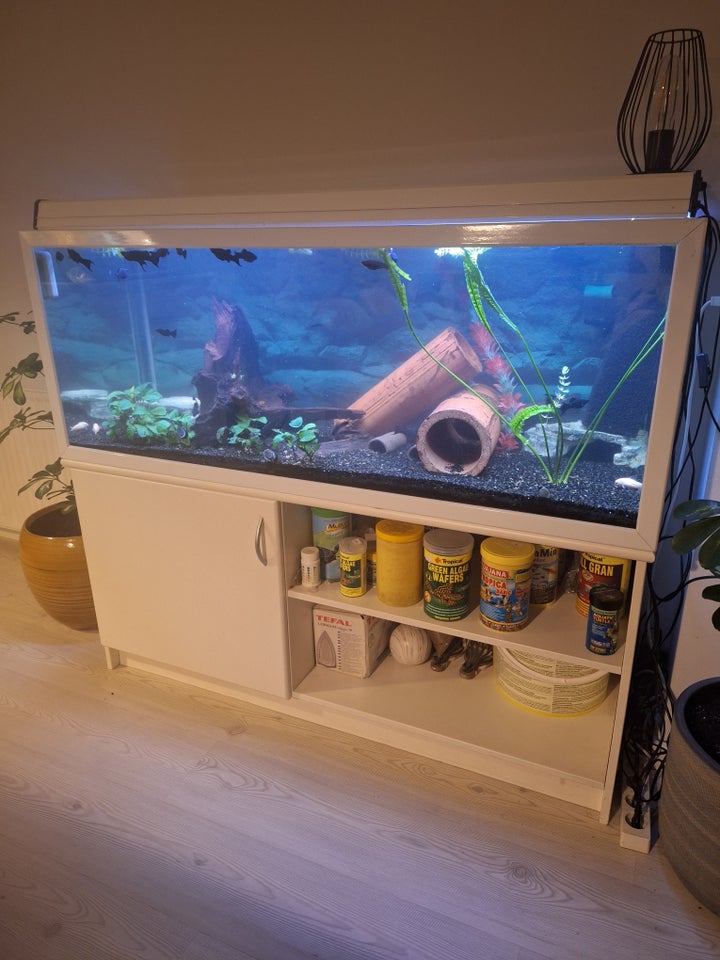 Akvarium, 325 liter, b: 130 d: 50