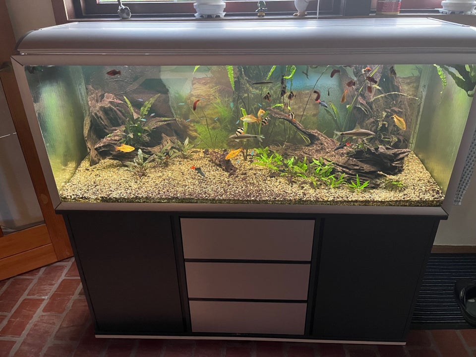 Akvarium 325 liter b: 130 d: 50 h: