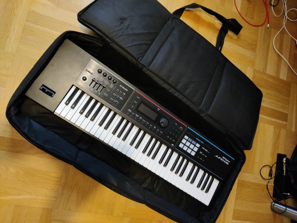 Keyboard, Roland DS61