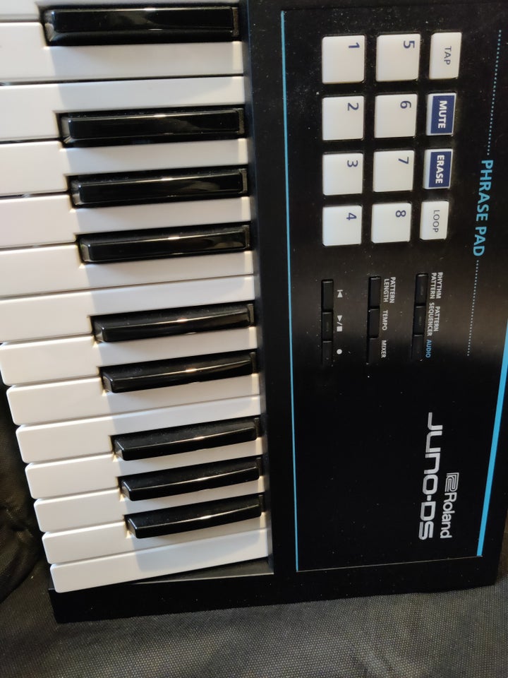 Keyboard, Roland DS61