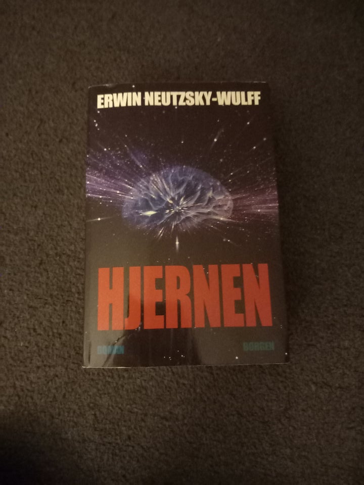 Hjernen  De Forsvundne, Erwin