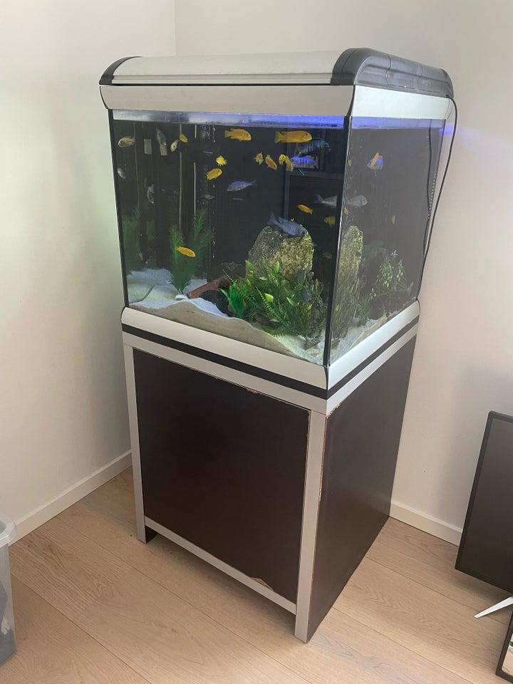 Akvarium 180 liter b: 66 d: 61 h: