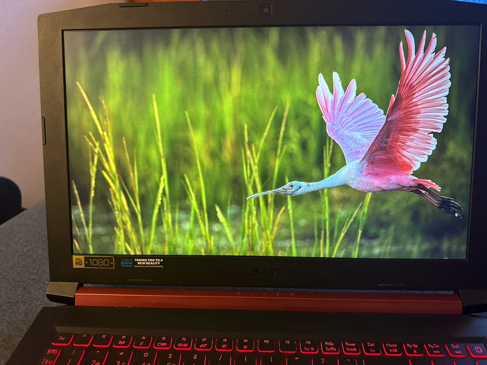 Acer Nitro 5 AN515-42, 2,0 GHz, 8 GB