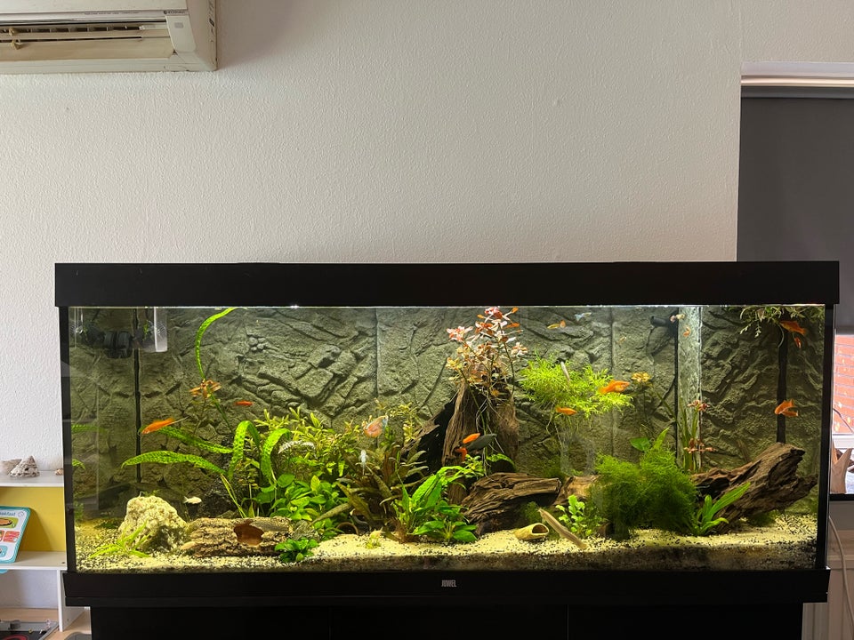 Akvarium, 450 liter