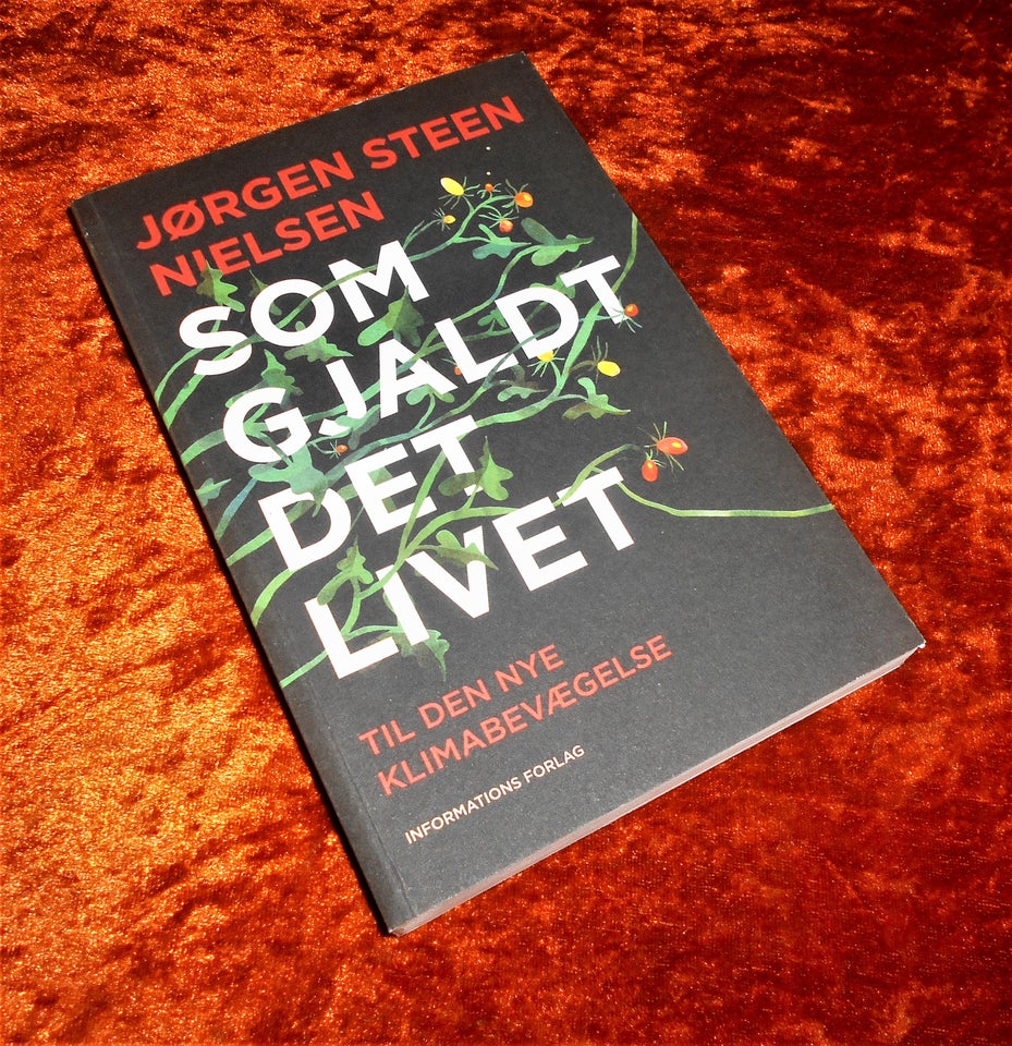 Som gjaldt det livet, Jørgen Steen