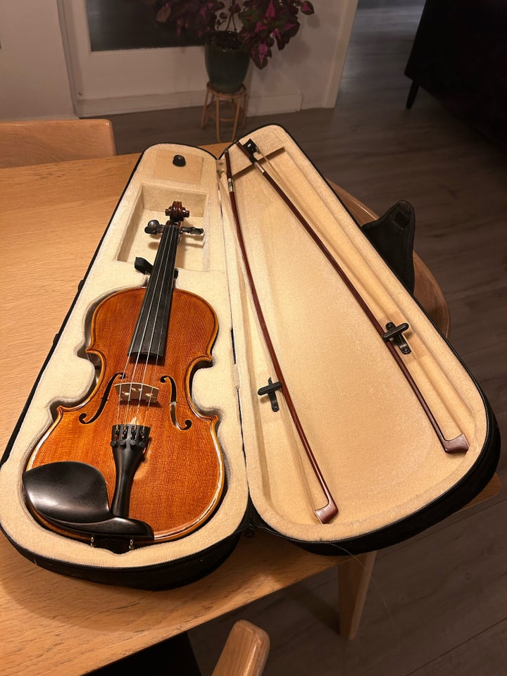 Violin