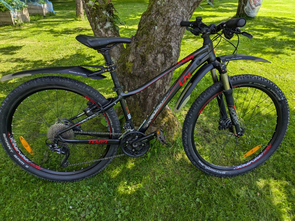 Giant Liv 1 hardtail XS tommer