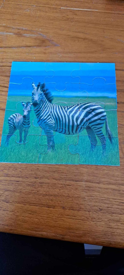 det er med zebra og giraf og