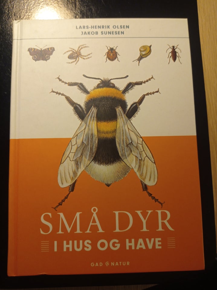 Små dyr i hus og have, emne: dyr