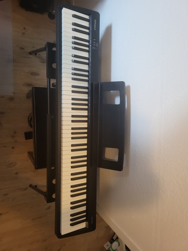 Keyboard, Roland Fp-10