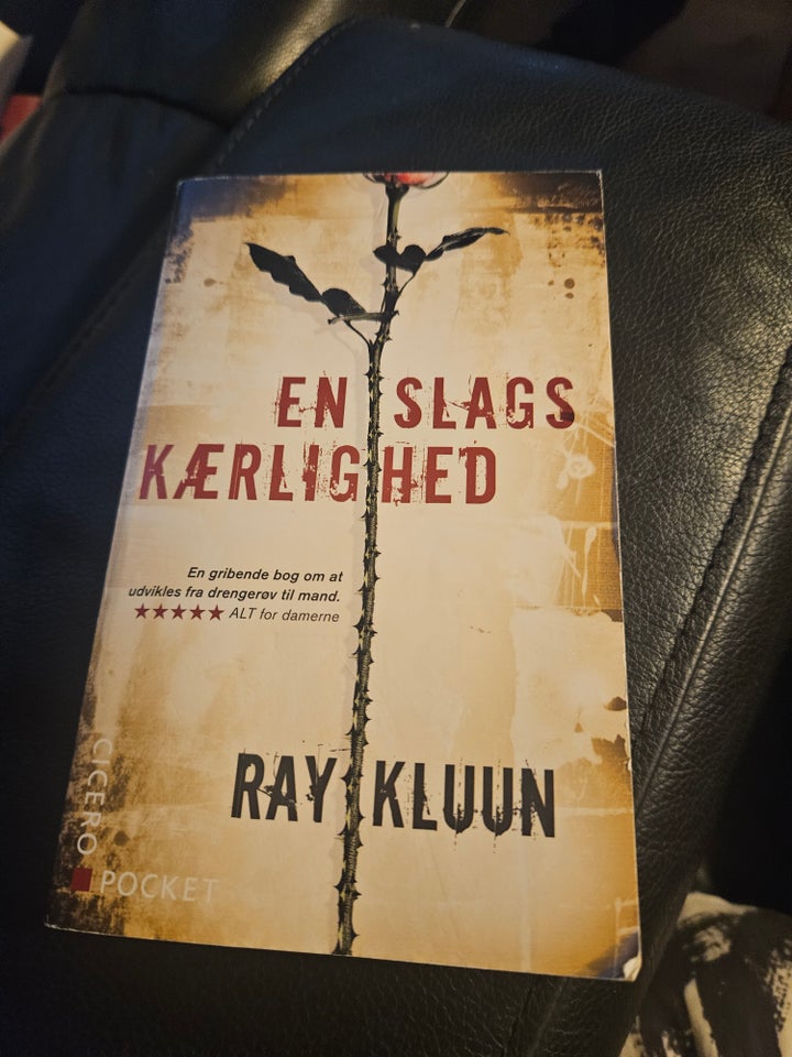 En slags kærlighed Ray kluun