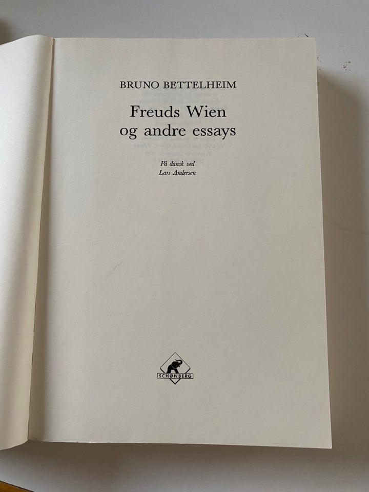 Freuds Wien og andre essays, Bruno