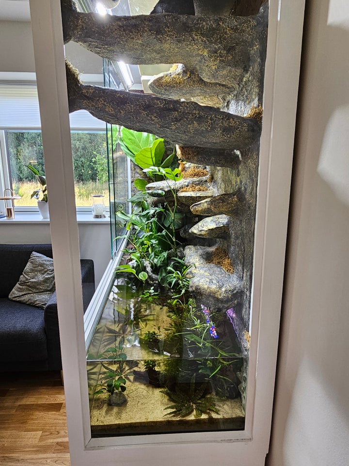 Terrarium b: 190 d: 60 h: 205