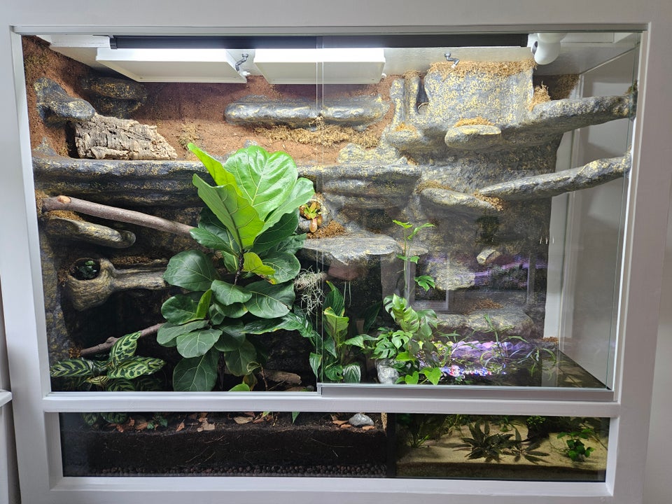 Terrarium b: 190 d: 60 h: 205