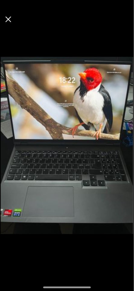 Lenovo Legion 5 pro, 32gb GB ram, 1,5