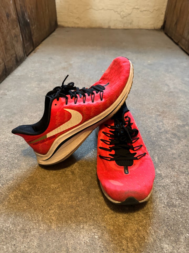 Sportssko Nike Zoom str 43