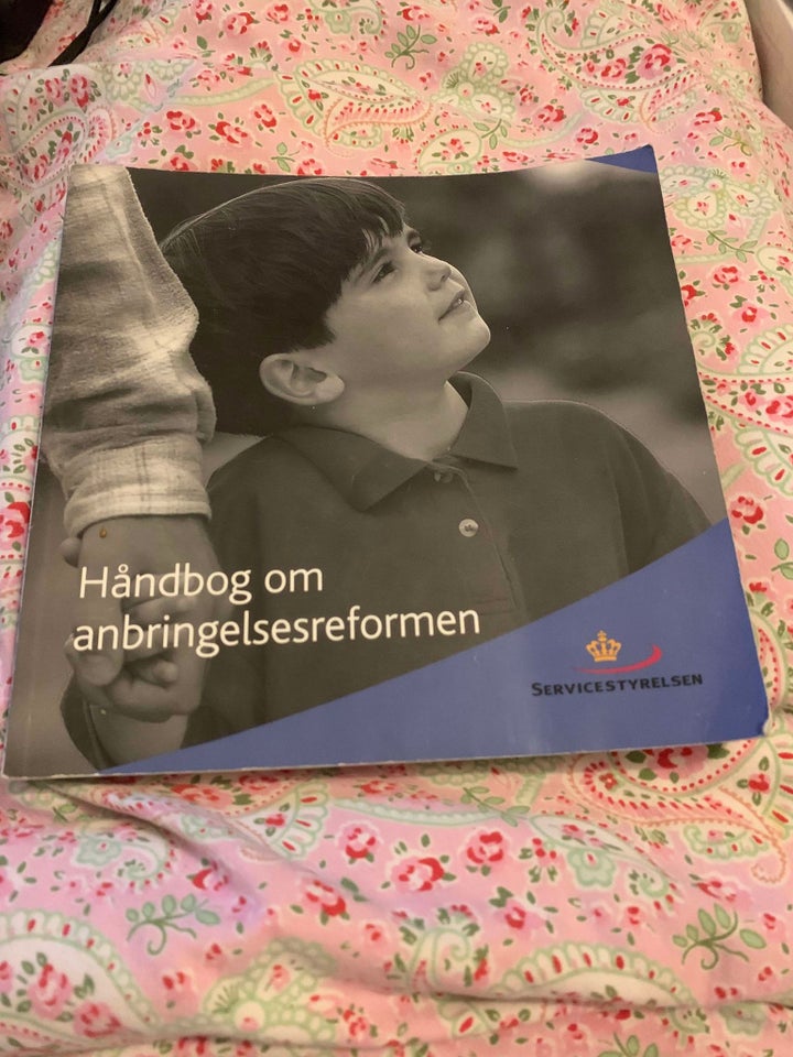 Håndbog om anbringelsesreformen