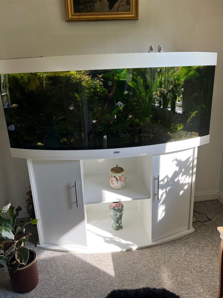 Akvarium 450 liter