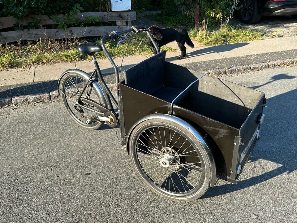 Ladcykel, Christiania Bike Model