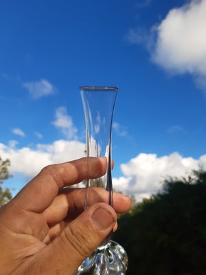 Glas gl orchidévaser klare/blå