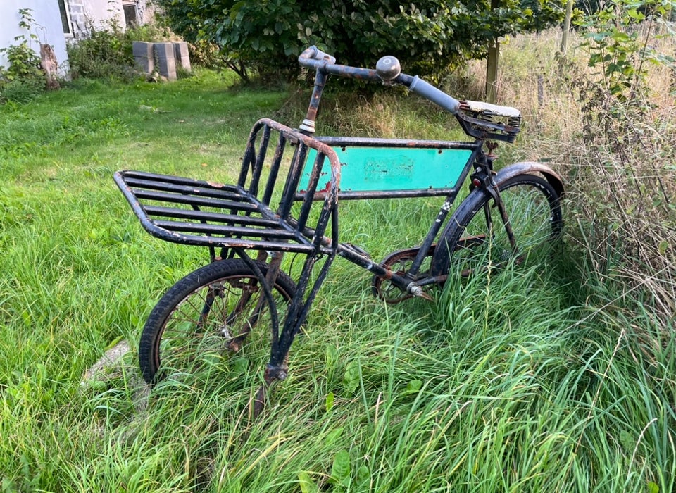 Budcykel