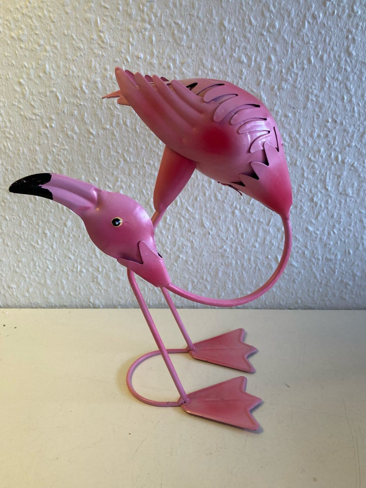 Stor fin Flamingofugl