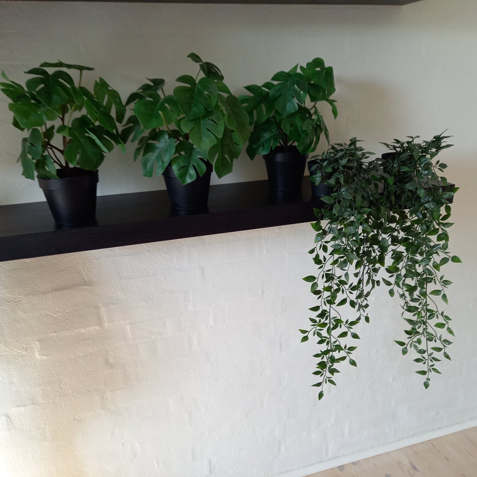 5 kunstige planter