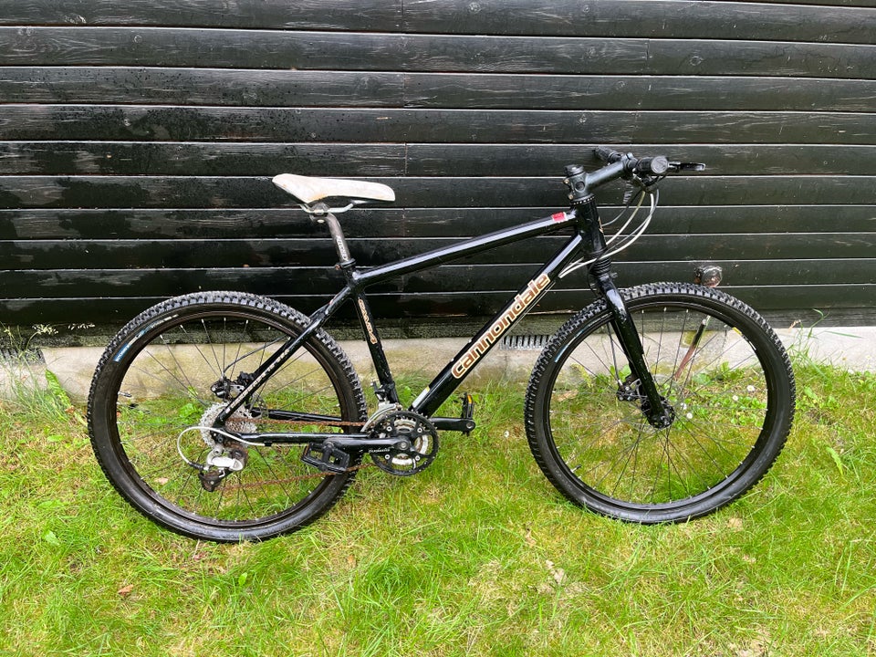 Cannondale Bayboy hardtail M