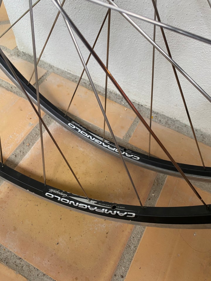 Hjul, Campagnolo Nucleon