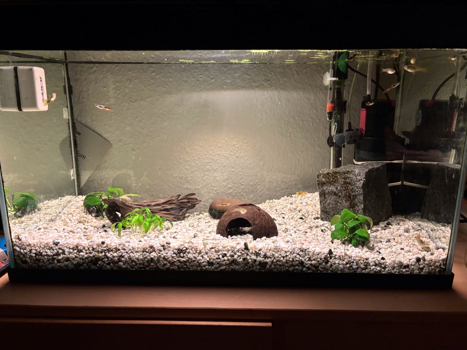 Akvarium, 57 liter, b: 60 d: 30 h: 30