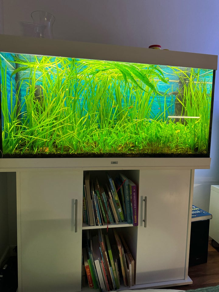 Akvarium 350 liter