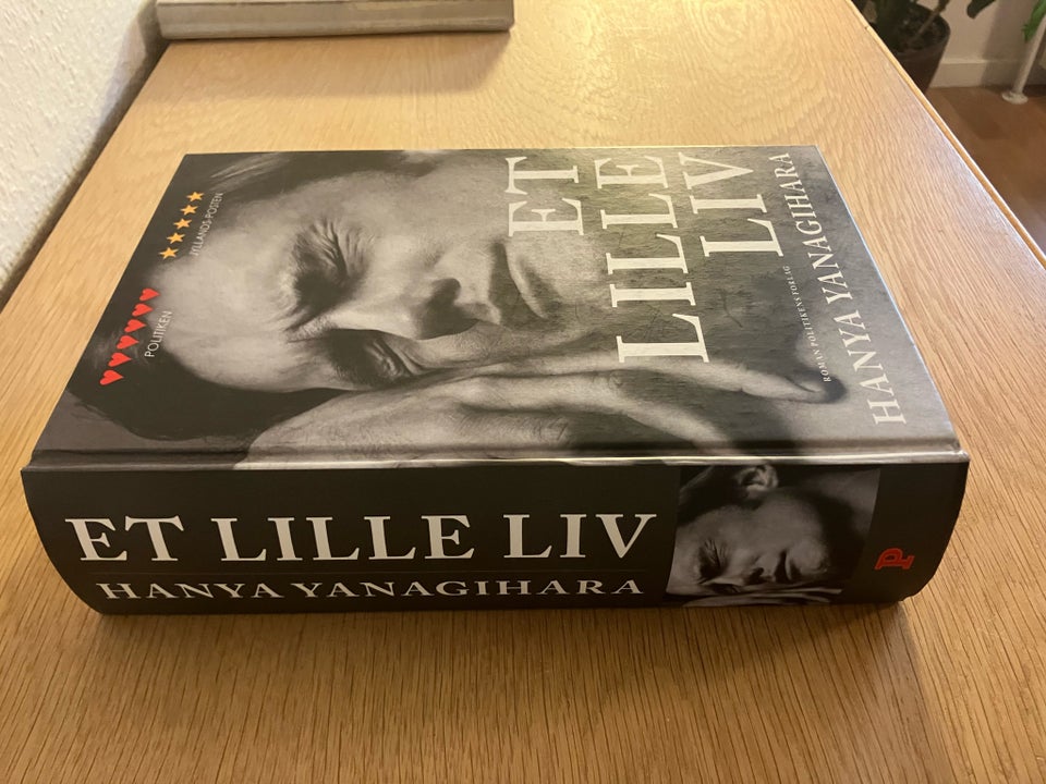 ET LILLE LIV, Hanya Yanagihara,