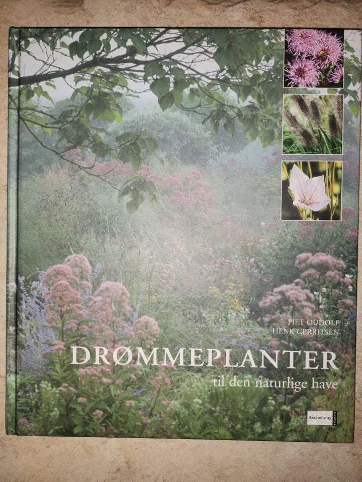 Drømmeplanter til den naturlige