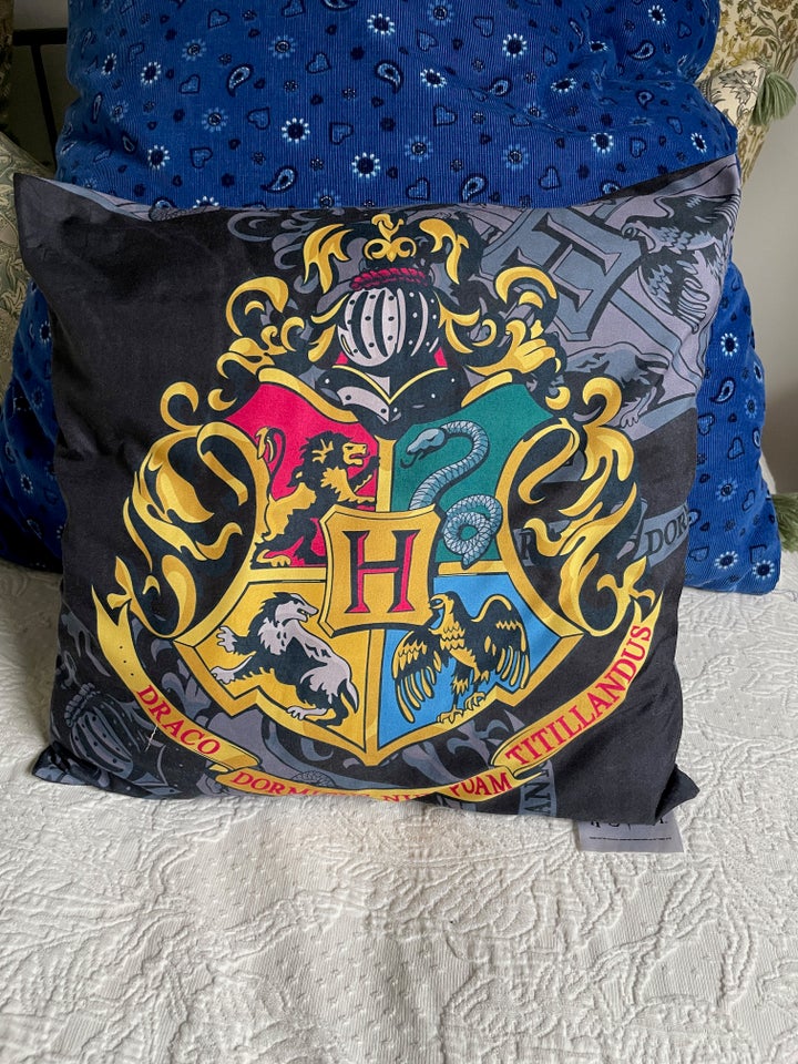 Hogwarts pude, Harry Potter