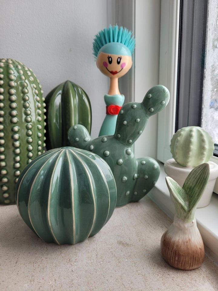 Kaktus samling + Cactus