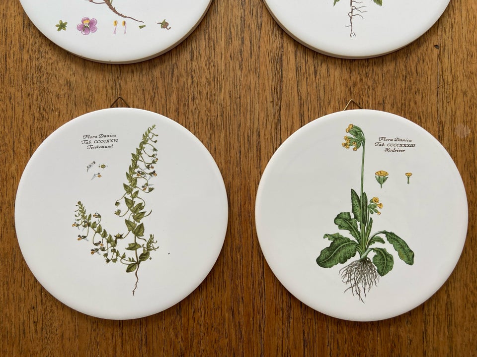 Flora Danica platter / ophæng H R