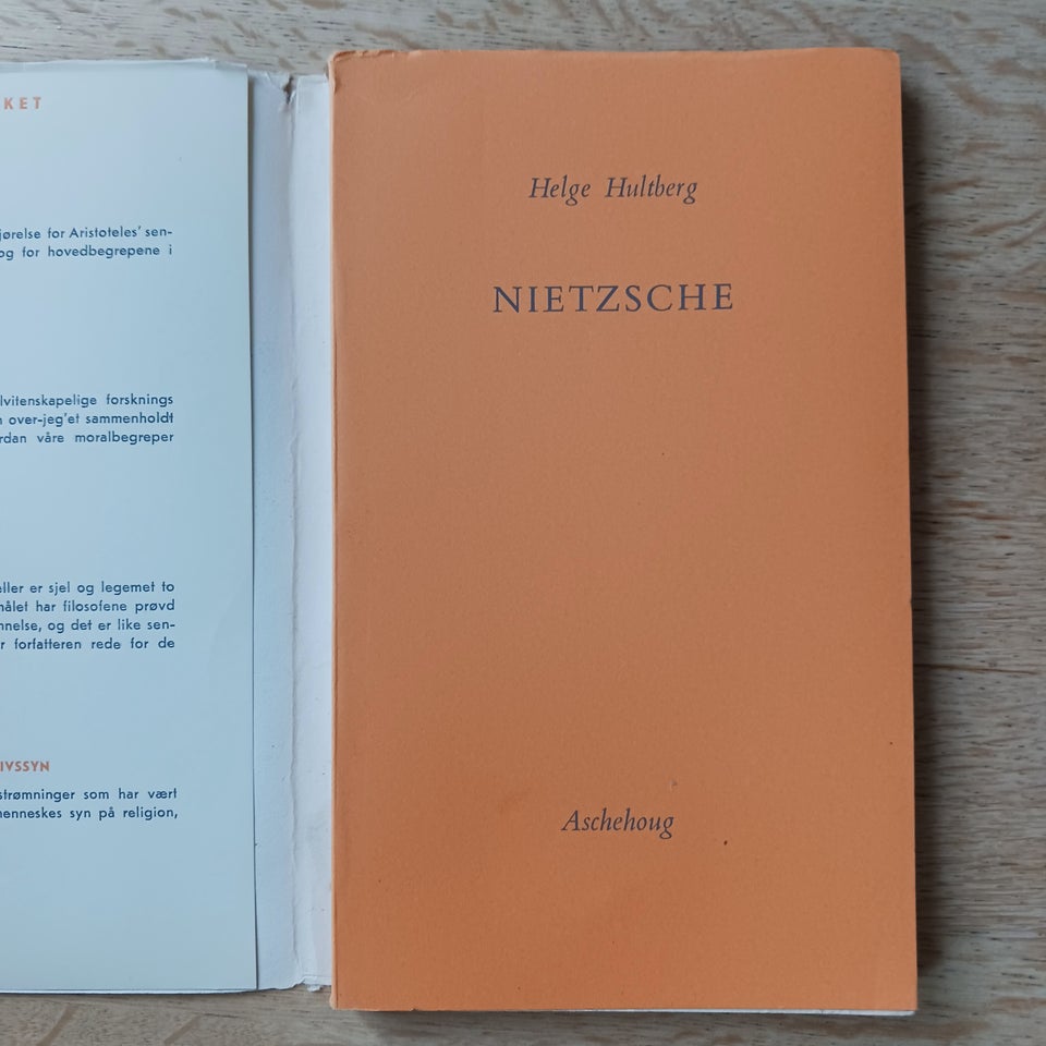 Nietzsche, Hultberg, Helge