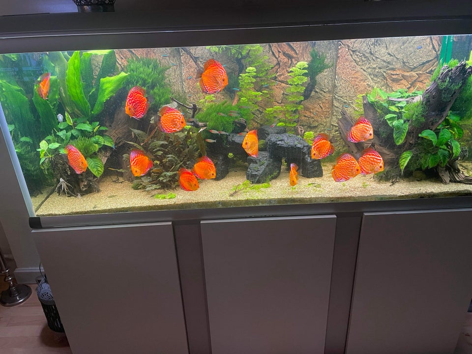 Akvarium 720 liter