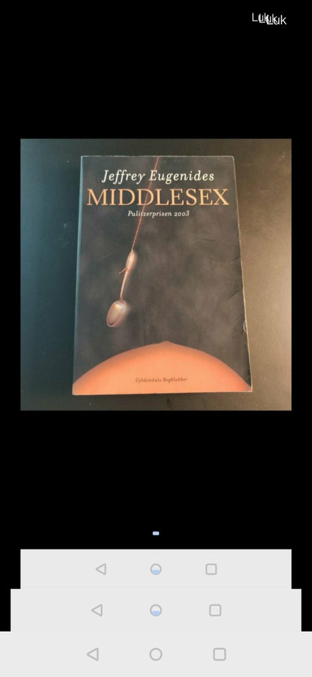 Middlesex, Jeffrey Eugenides,