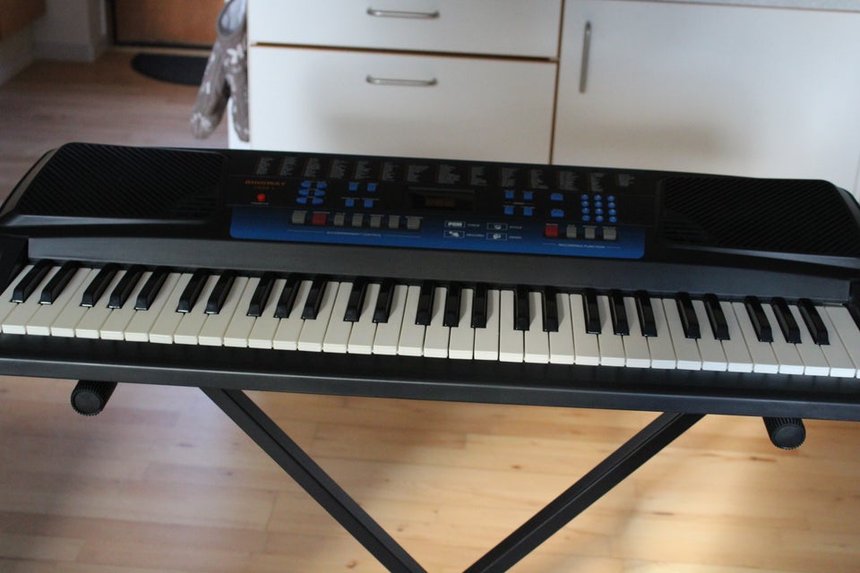 Keyboard, Ringway CK62+