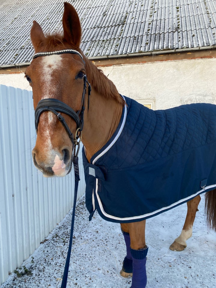 Skridttæppe Rbh vinter cooler