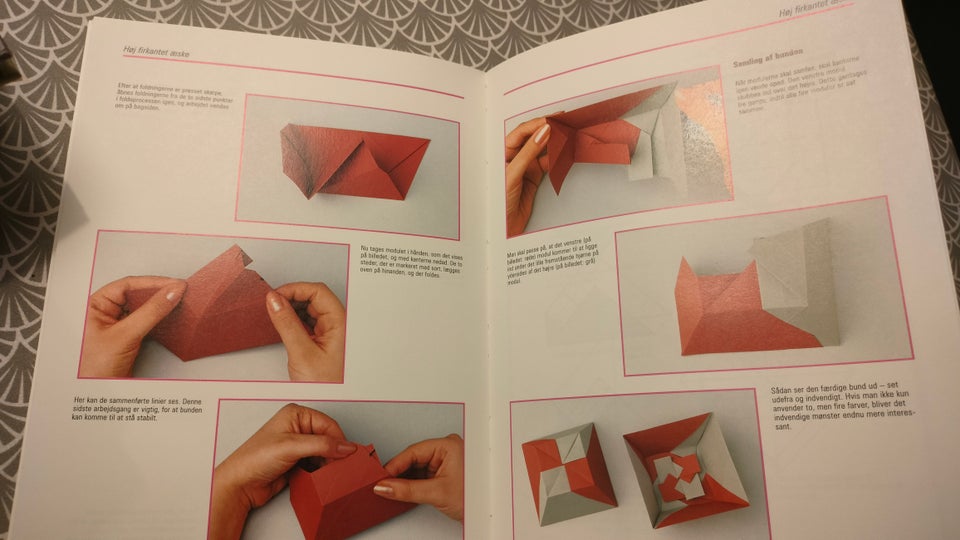 Origami æsker, Alexander Dirk,