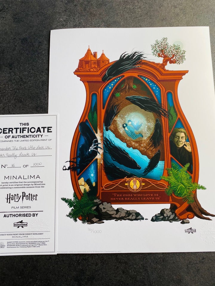 Harry Potter Standard Print