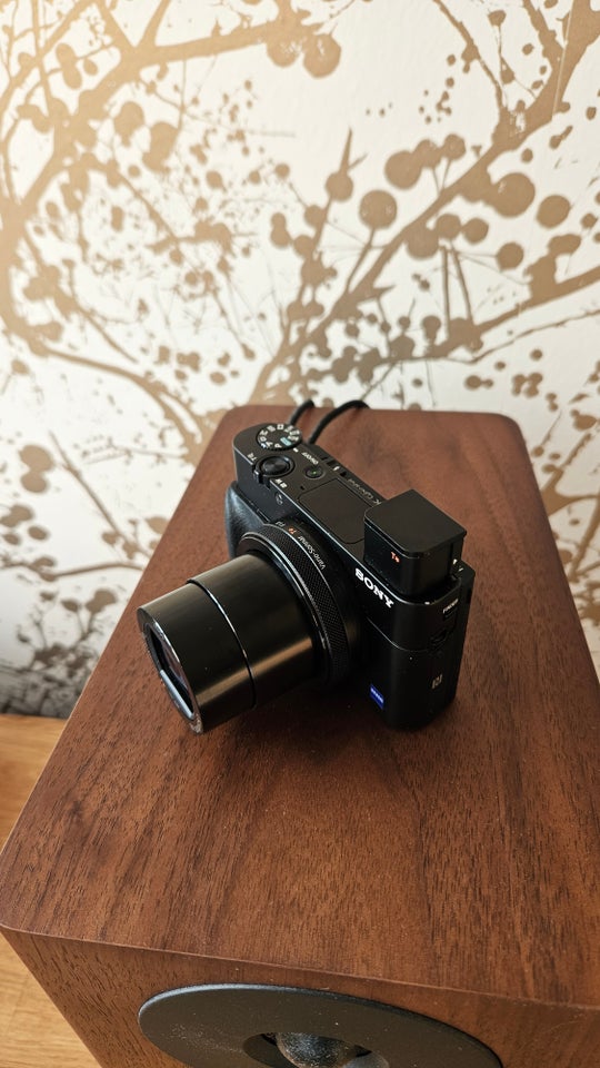 Sony, Sony RX100 M5 A, 20,1