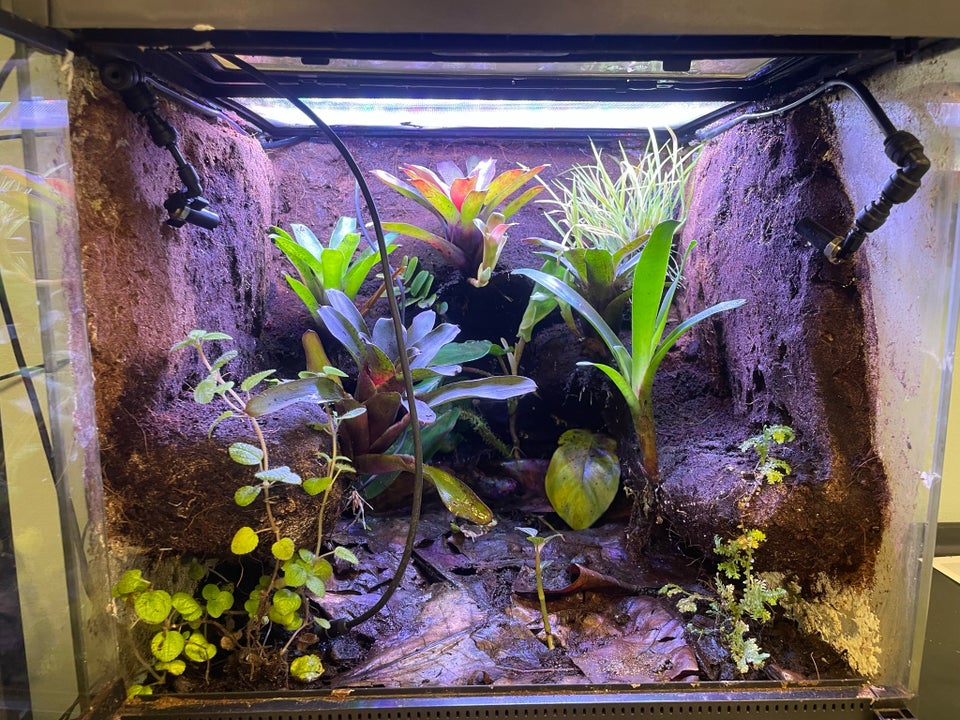 Terrarium, b: 45 d: 45 h: 45