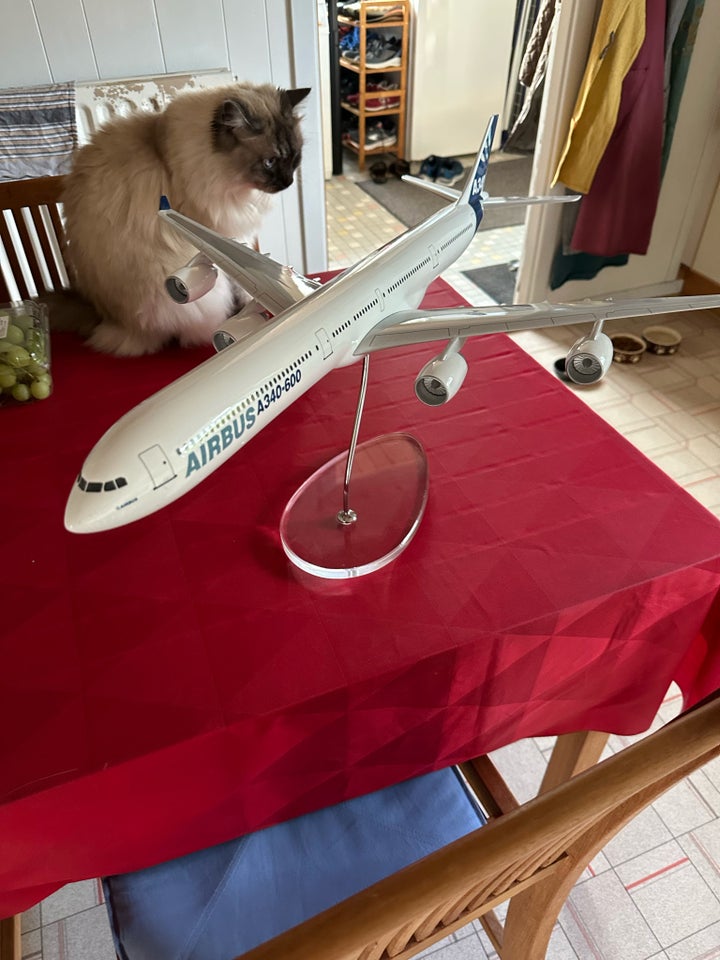 Modelfly, Limox. Airbus A340-600 ,